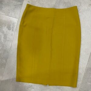 Ann Taylor Skirt